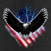 Patriotic American Flag Bald Eagle Cool Comfort Performance Bucket Hat