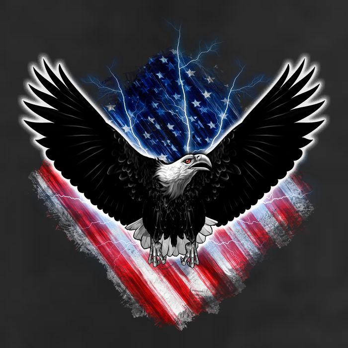 Patriotic American Flag Bald Eagle Cool Comfort Performance Bucket Hat