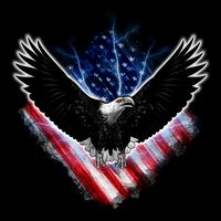 Patriotic American Flag Bald Eagle USA-Made Doggie Bandana