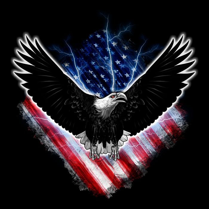 Patriotic American Flag Bald Eagle USA-Made Doggie Bandana