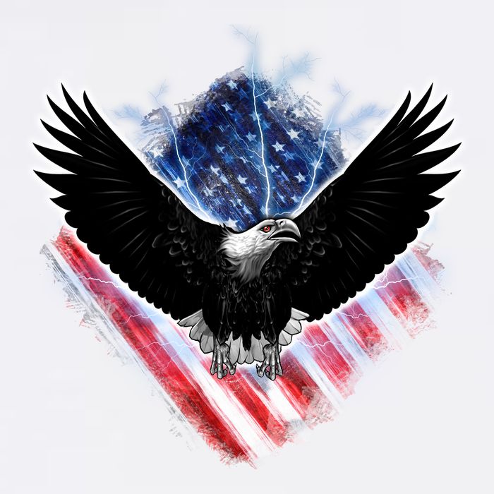 Patriotic American Flag Bald Eagle Garment-Dyed Sweatshirt