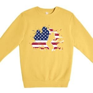 Patriotic American Flag Baseball design, Baseball design Premium Crewneck Sweatshirt