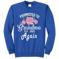 Pregnancy Announcet For GrandparentsPromoted To Grandma Gift Sweatshirt