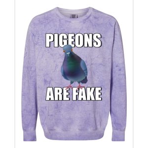 Pigeons Are Fake Liars Birds Are Not Real Spies Gift Colorblast Crewneck Sweatshirt