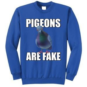 Pigeons Are Fake Liars Birds Are Not Real Spies Gift Sweatshirt