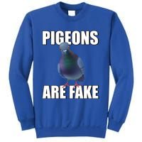 Pigeons Are Fake Liars Birds Are Not Real Spies Gift Sweatshirt