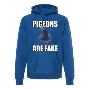 Pigeons Are Fake Liars Birds Are Not Real Spies Gift Premium Hoodie