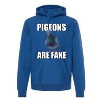 Pigeons Are Fake Liars Birds Are Not Real Spies Gift Premium Hoodie