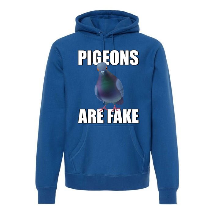 Pigeons Are Fake Liars Birds Are Not Real Spies Gift Premium Hoodie