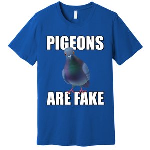 Pigeons Are Fake Liars Birds Are Not Real Spies Gift Premium T-Shirt