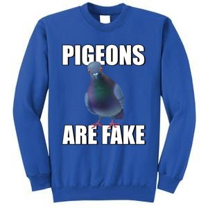 Pigeons Are Fake Liars Birds Are Not Real Spies Gift Tall Sweatshirt