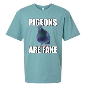 Pigeons Are Fake Liars Birds Are Not Real Spies Gift Sueded Cloud Jersey T-Shirt