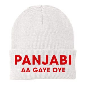 Panjabi Aa Gaye Oye Knit Cap Winter Beanie