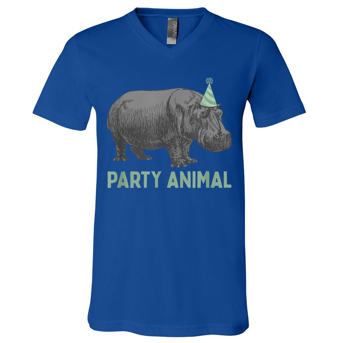 Party Animal Hippo Birthday Gift Funny Hippo Birthday Gift V-Neck T-Shirt