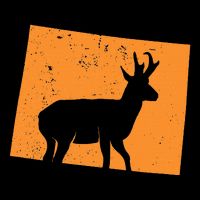 Pronghorn Antelope Hunting In Wyoming. Sustainable Bucket Hat