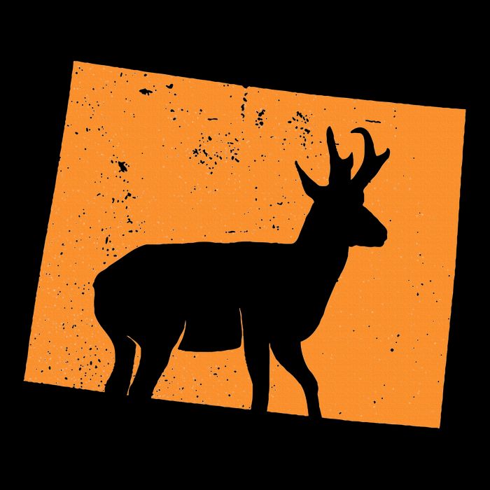 Pronghorn Antelope Hunting In Wyoming. Women's Crop Top Tee