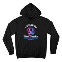 Pregnancy And Infant Loss Awareness Miscarriage Awareness Hoodie