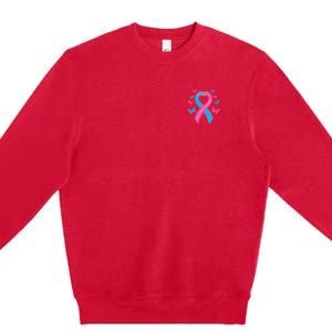 Pregnancy And Infant Loss Awareness Miscarriage Remembrance Premium Crewneck Sweatshirt