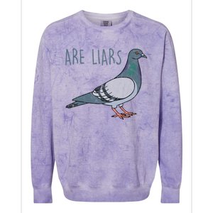 Pigeons Are Liars Arent Real Spies Birds Pun Gift Colorblast Crewneck Sweatshirt