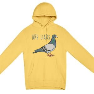 Pigeons Are Liars Arent Real Spies Birds Pun Gift Premium Pullover Hoodie