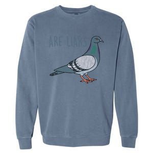 Pigeons Are Liars Arent Real Spies Birds Pun Gift Garment-Dyed Sweatshirt