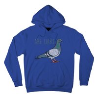 Pigeons Are Liars Arent Real Spies Birds Pun Gift Hoodie