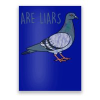 Pigeons Are Liars Arent Real Spies Birds Pun Gift Poster