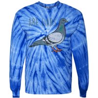 Pigeons Are Liars Arent Real Spies Birds Pun Gift Tie-Dye Long Sleeve Shirt