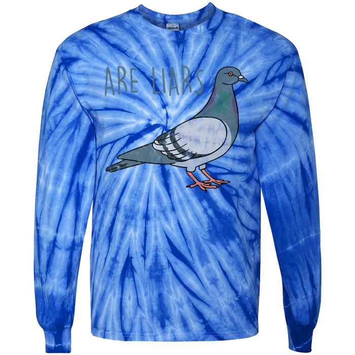 Pigeons Are Liars Arent Real Spies Birds Pun Gift Tie-Dye Long Sleeve Shirt