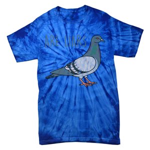 Pigeons Are Liars Arent Real Spies Birds Pun Gift Tie-Dye T-Shirt