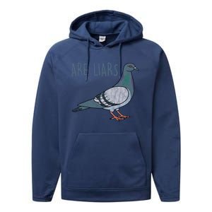 Pigeons Are Liars Arent Real Spies Birds Pun Gift Performance Fleece Hoodie