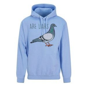 Pigeons Are Liars Arent Real Spies Birds Pun Gift Unisex Surf Hoodie