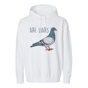 Pigeons Are Liars Arent Real Spies Birds Pun Gift Garment-Dyed Fleece Hoodie