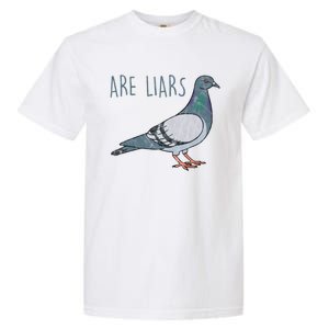 Pigeons Are Liars Arent Real Spies Birds Pun Gift Garment-Dyed Heavyweight T-Shirt