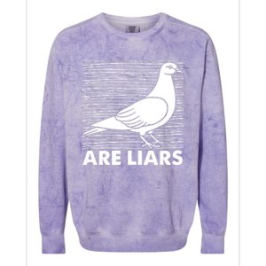 Pigeons Are Liars ArenT Real Spies Birds Pun Colorblast Crewneck Sweatshirt