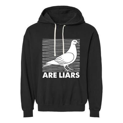 Pigeons Are Liars ArenT Real Spies Birds Pun Garment-Dyed Fleece Hoodie