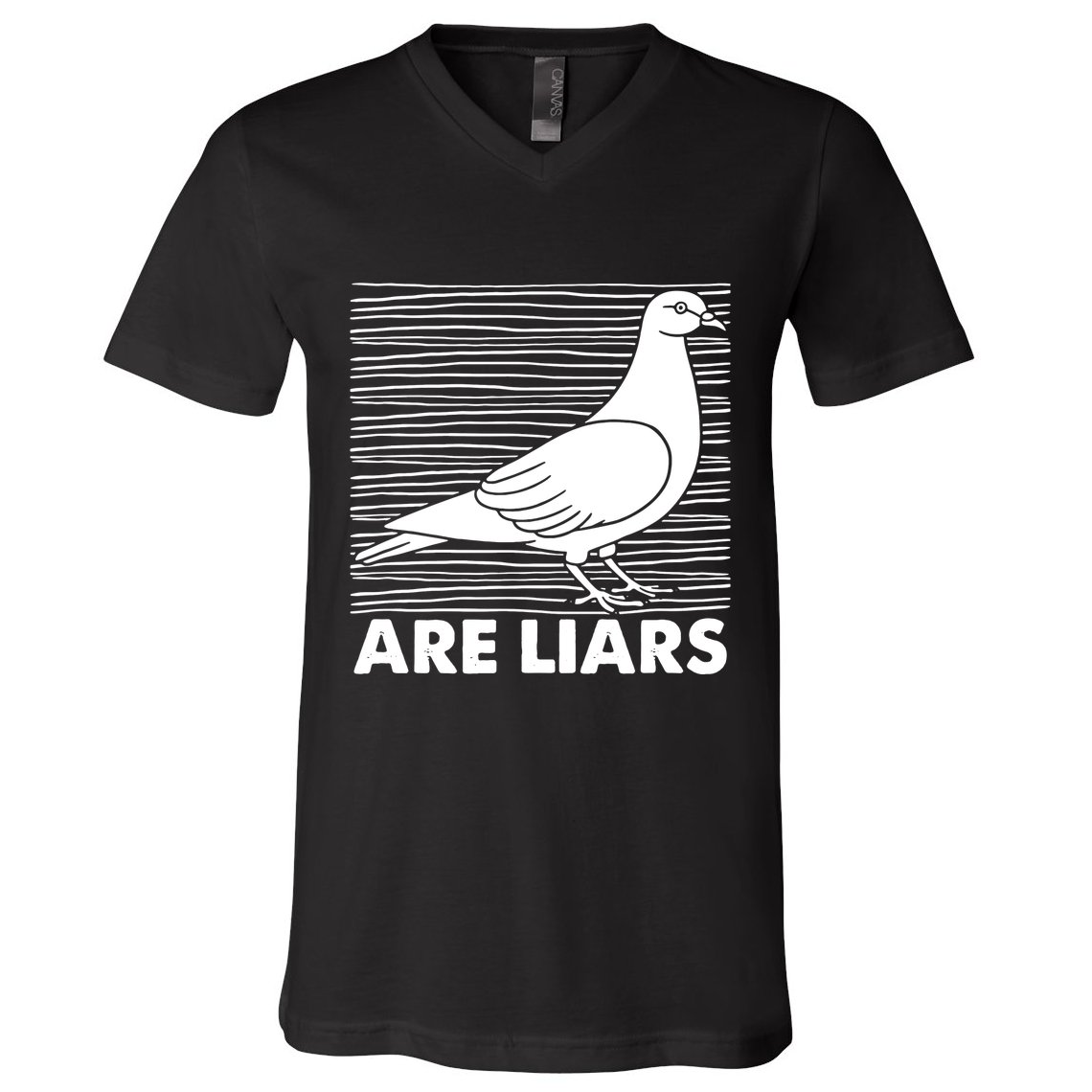 Pigeons Are Liars ArenT Real Spies Birds Pun V-Neck T-Shirt