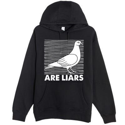 Pigeons Are Liars ArenT Real Spies Birds Pun Premium Pullover Hoodie