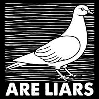 Pigeons Are Liars ArenT Real Spies Birds Pun Cooling Performance Long Sleeve Crew