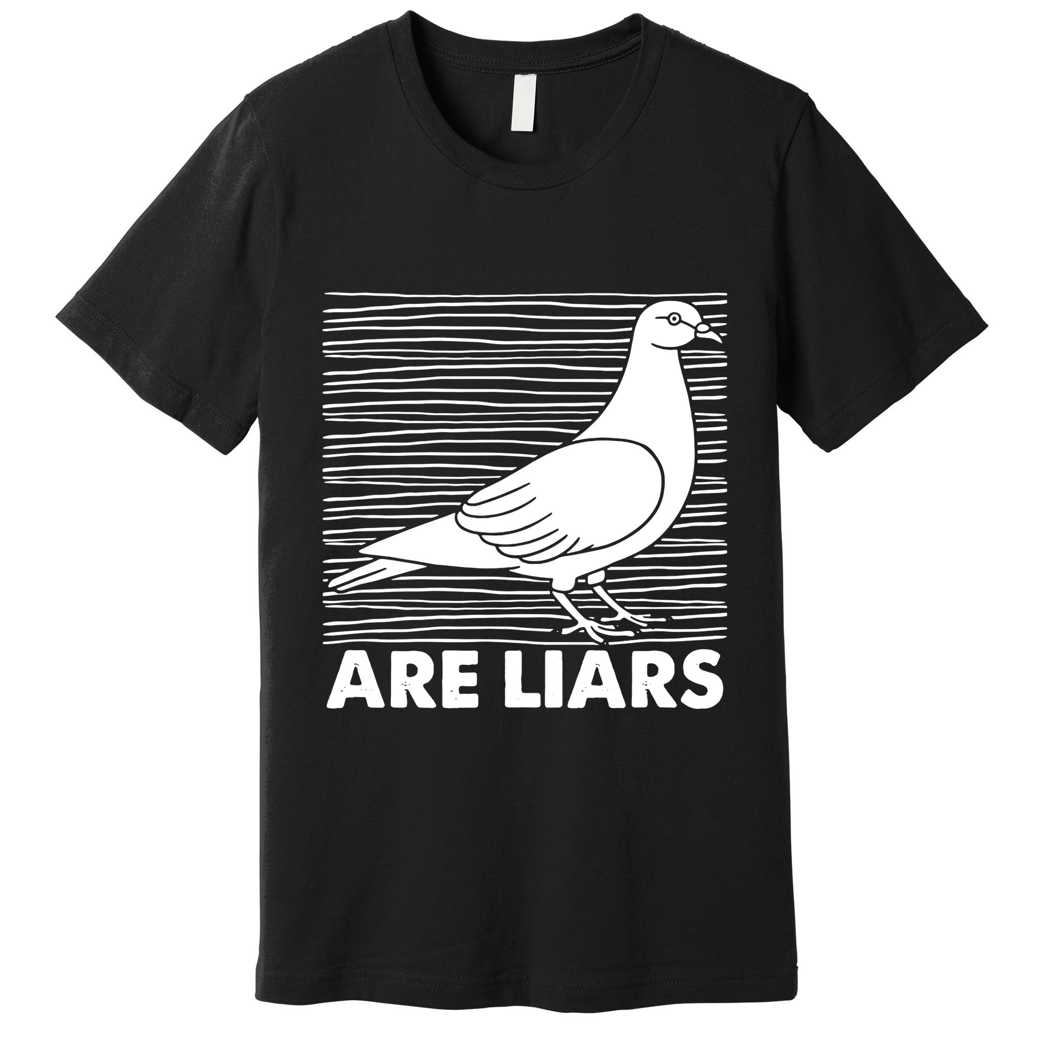 Pigeons Are Liars ArenT Real Spies Birds Pun Premium T-Shirt