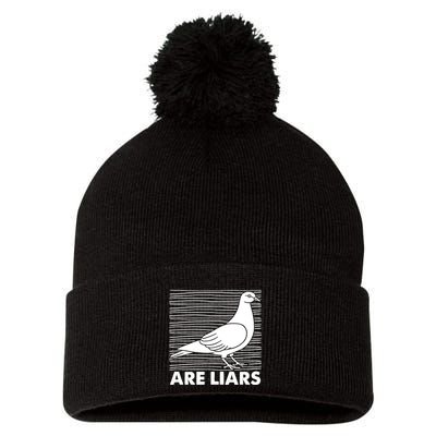 Pigeons Are Liars ArenT Real Spies Birds Pun Pom Pom 12in Knit Beanie