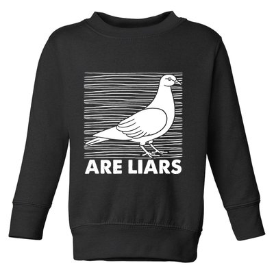 Pigeons Are Liars ArenT Real Spies Birds Pun Toddler Sweatshirt