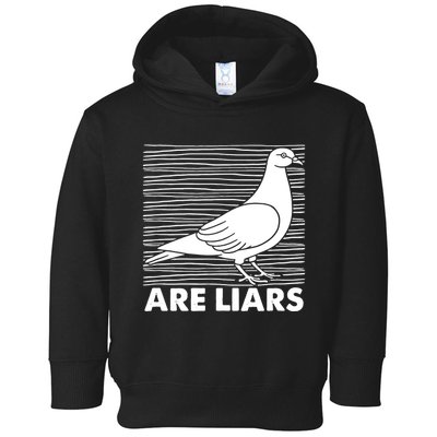 Pigeons Are Liars ArenT Real Spies Birds Pun Toddler Hoodie