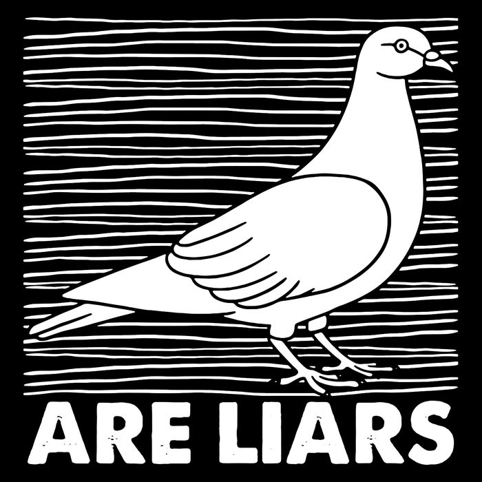 Pigeons Are Liars ArenT Real Spies Birds Pun Cropped Pullover Crew