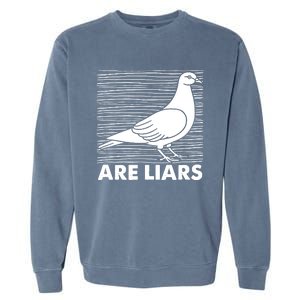 Pigeons Are Liars ArenT Real Spies Birds Pun Garment-Dyed Sweatshirt