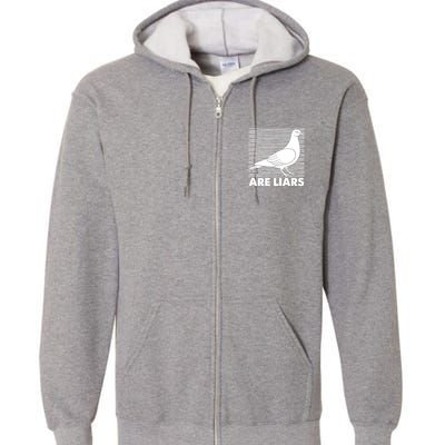 Pigeons Are Liars ArenT Real Spies Birds Pun Full Zip Hoodie