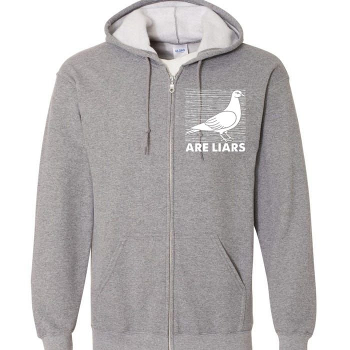 Pigeons Are Liars ArenT Real Spies Birds Pun Full Zip Hoodie