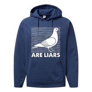 Pigeons Are Liars ArenT Real Spies Birds Pun Performance Fleece Hoodie