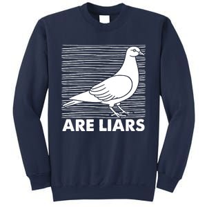 Pigeons Are Liars ArenT Real Spies Birds Pun Sweatshirt