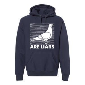 Pigeons Are Liars ArenT Real Spies Birds Pun Premium Hoodie